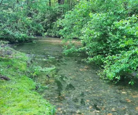 Harkins Creek