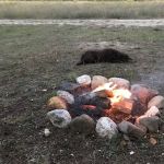 Mackinaw Campground