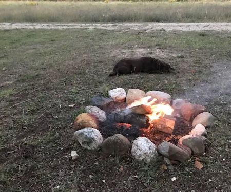 Mackinaw Campground
