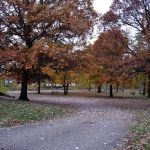 Marshall State Fish and Wildlife Area.