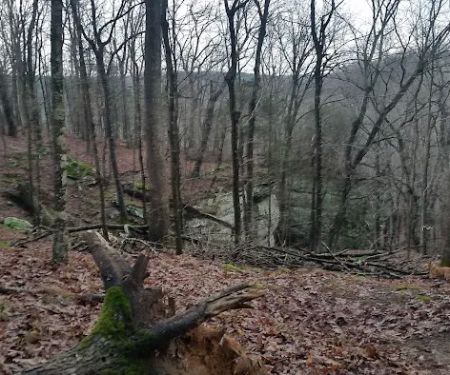 Jackson Falls