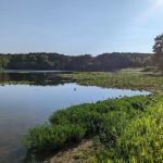Lake Glendale Recreation Area