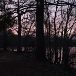 Carter's Bight