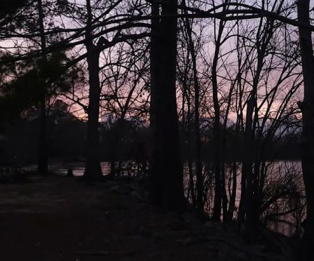Carter's Bight
