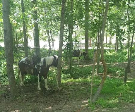 Warden Station Horse Camp
