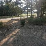 Lucky 7 Ranch