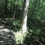 Camp Sequoyah: Frank Spain Scout Reservation