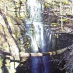Caver's Paradise