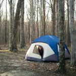 Sawmill Lake Campsite - Crockford Pigeon Mountain WMA