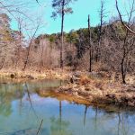 The Pocket Recreation Area