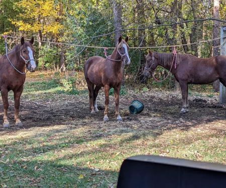 Horseriders' Campground