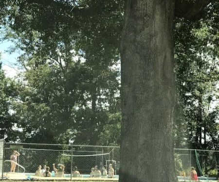Tattnall Campground