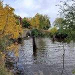Lock 22 Camping