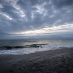 Amelia Beach