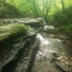 Whispering Oaks Retreat and Campground