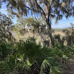 Little Talbot Island Campgrounds