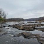 Cedar Lake Campsite #1