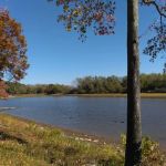 Beech Bend Park