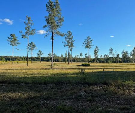 farmcamp glampground