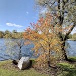 Lake Lenwood Beach & Campground