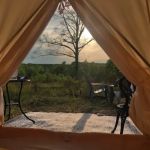 County Rd Camp and Glamp
