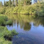 Seney Township Campground