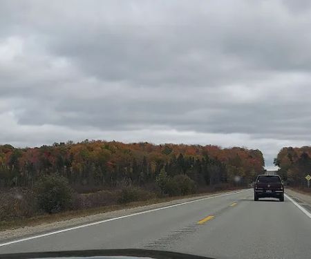 Superior Orchards