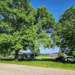 Elkport campground
