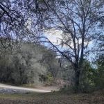 Rodman Campground