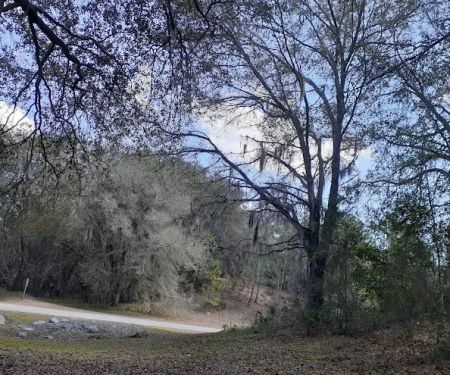 Rodman Campground