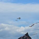 Relleumtdats Airventure Campground