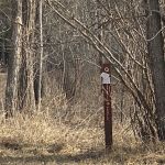 KVR Campsite Q