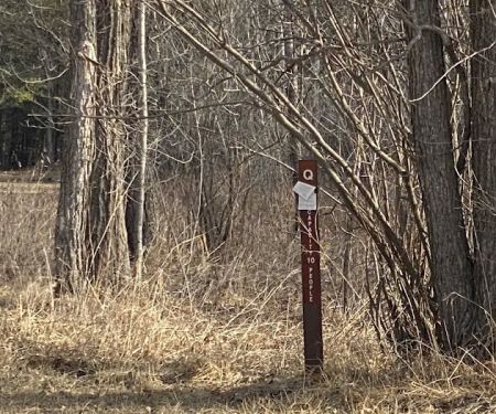 KVR Campsite Q