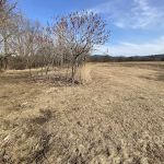 KVR Campsite T