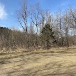 Campsite U