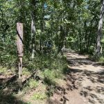 Francis campsite