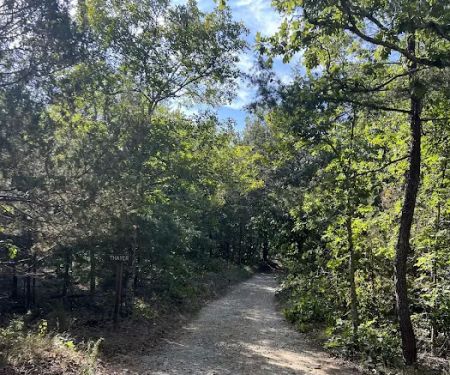 Thayer campsite