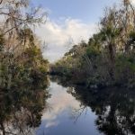 Pellicer Creek Campground
