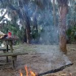 Orange Point - Welaka State Forest