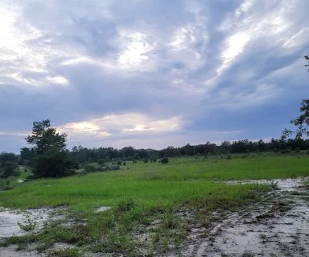 The Alencar Ranch