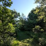 Buckhorn Campground