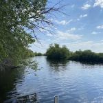 Timber Landing