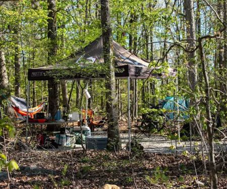 Arcadia Acres LLC