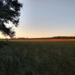 Hopkins Prairie Campground