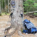 Driftwood Campsite