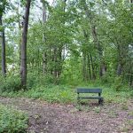 Forestry Department