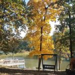 Emerald Oaks