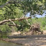 St. Francois State Park Campground