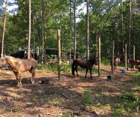 Wrangler Horse Camp