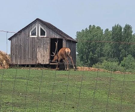 River Ranch Camping